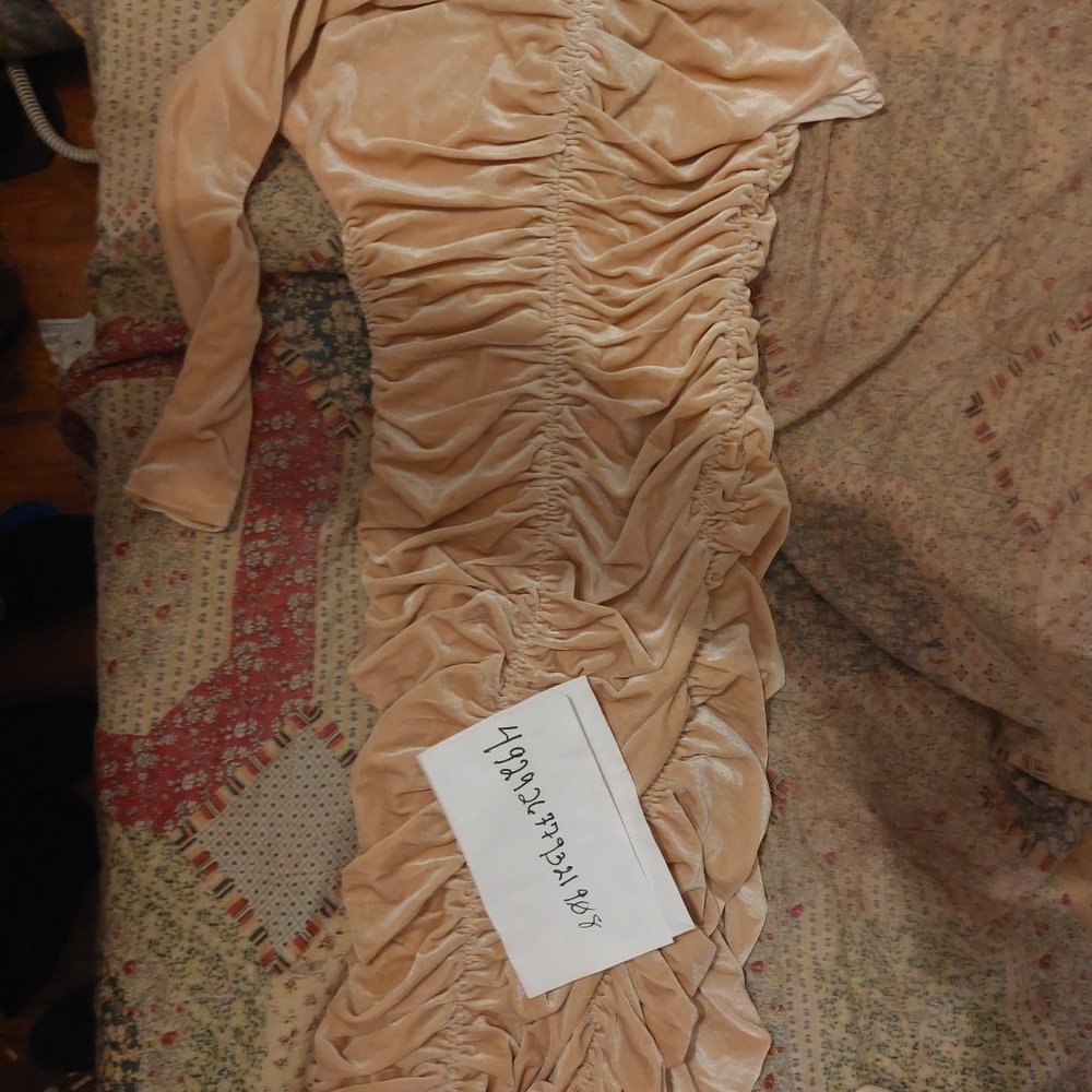 Velvet Ruched Dress - Picture 5 of 7